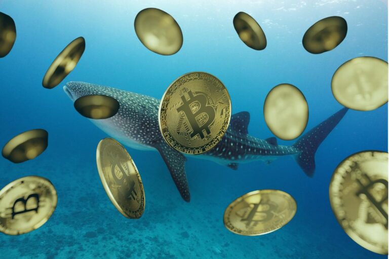 Bitcoin’s dip is a buying signal.